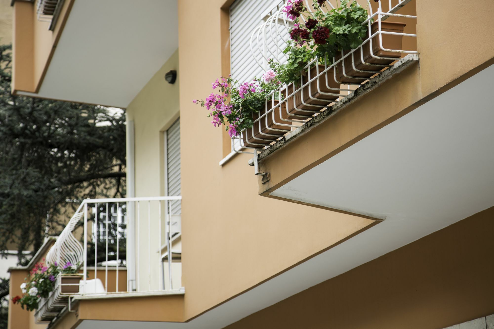 Roma Talenti Breme B&B Exterior photo